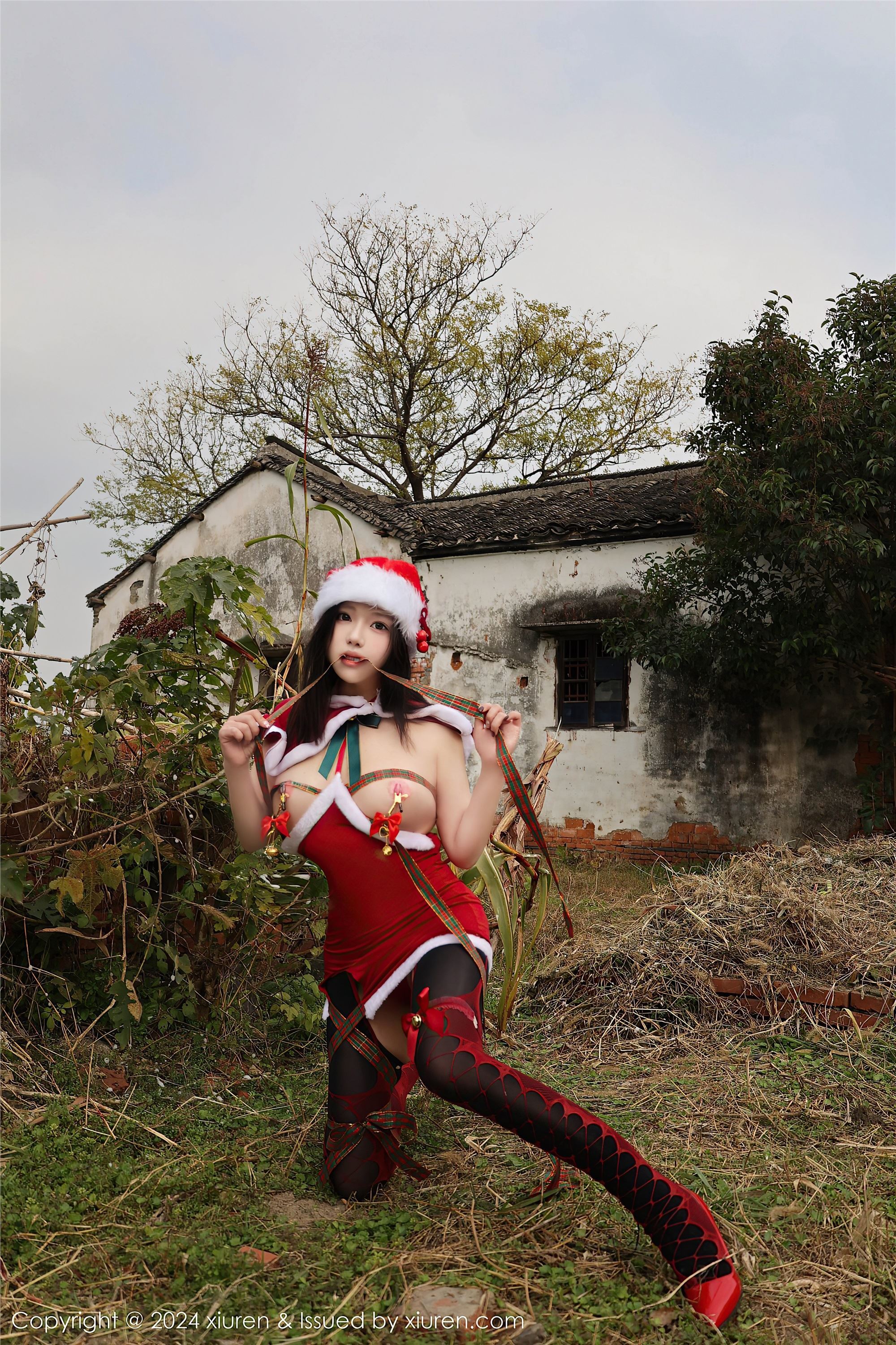 Xiuren秀人网 2024.12.20 NO.9630 小薯条nienie